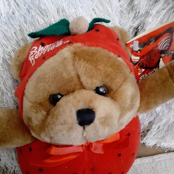 NEW! SHARI'S BERRIES PLUSH TEDDY BEAR IN STRAWBERRY COSTUME 10" VINTAGE 1999 - Picture 4 of 6